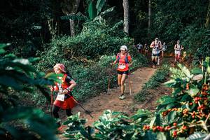 BIB: 
                            <button type="button" onclick="openModal(25826992)" class="btn btn-primary btn-sm float-right btn-popup" data-toggle="modal" data-target=".modal-high-quality">
                        <i class="fas fa-shopping-cart"></i> Add to Cart
                    </button>
                                            <button type="button" onclick="isThisMe(25826992, true)" class="btn btn-success btn-sm float-right btn-popup btn-isme hidden" data-toggle="tooltip" data-placement="bottom" title="นี่คือรูปของคุณใช่ไหม คลิกที่นี่เพื่อเอาเข้าอัลบั้ม">
                        <i class="fas fa-plus"></i> Add to album
                    </button>
                    <button type="button" onclick="isThisMe(25826992, false)" class="btn btn-warning btn-sm float-right btn-popup btn-isnotme hidden">
                        <i class="fas fa-ban"></i> Remove from album
                    </button>